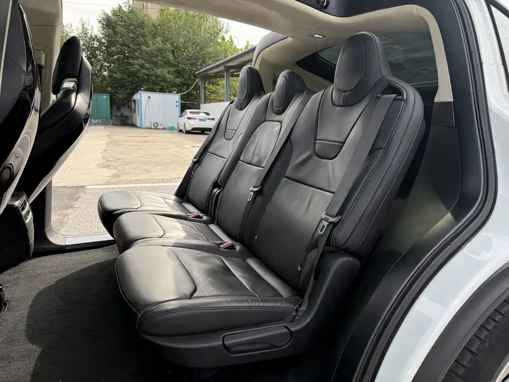 Tesla Model X — миниатюра 4