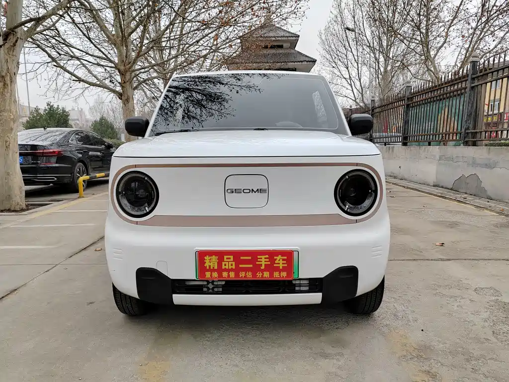 GEELY GALAXY PANDA
