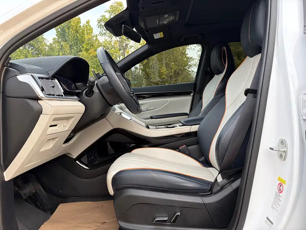 BYD PLUS New Energy — миниатюра 5