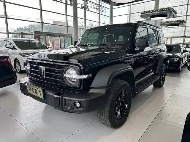 2025 TANK 300
