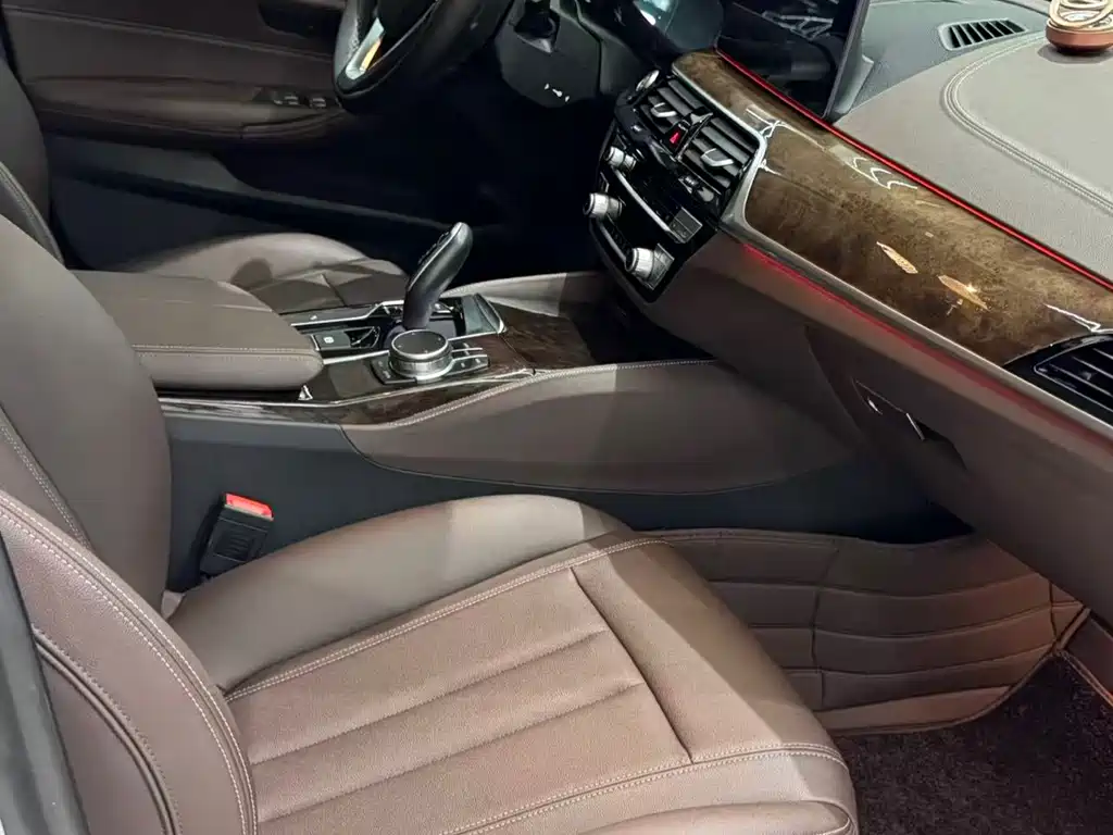 BMW 5 Series 5 2019 525Li M Sport