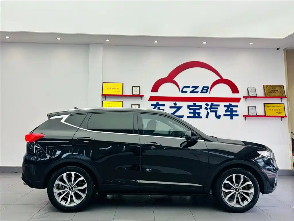 WEI PAI WEI BRAND VV6