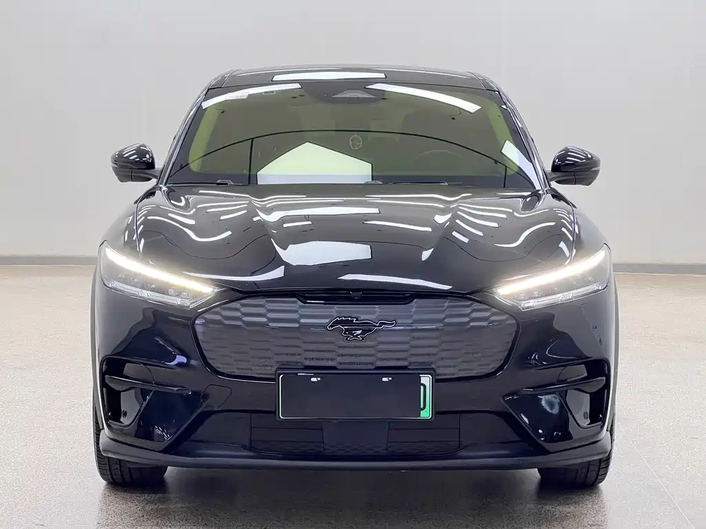 Ford Mustang Mach-E — миниатюра 6