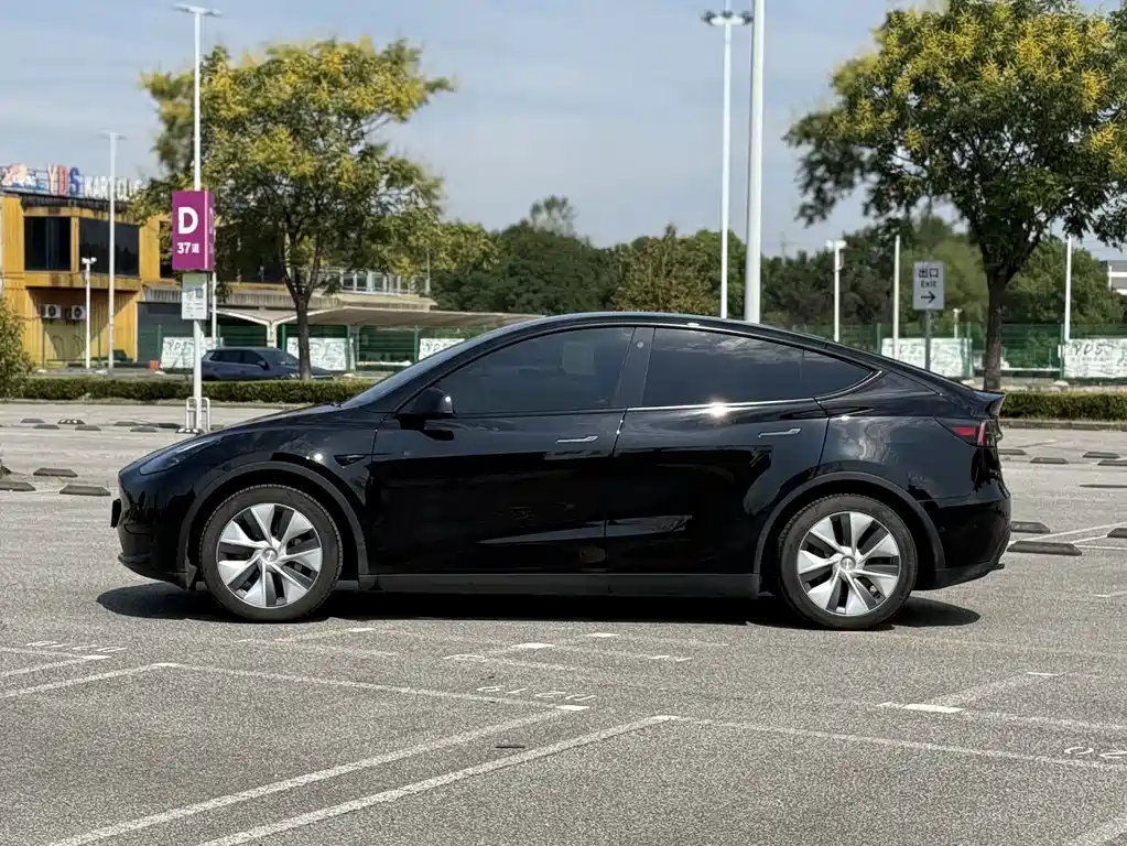 Tesla Model Y — миниатюра 5