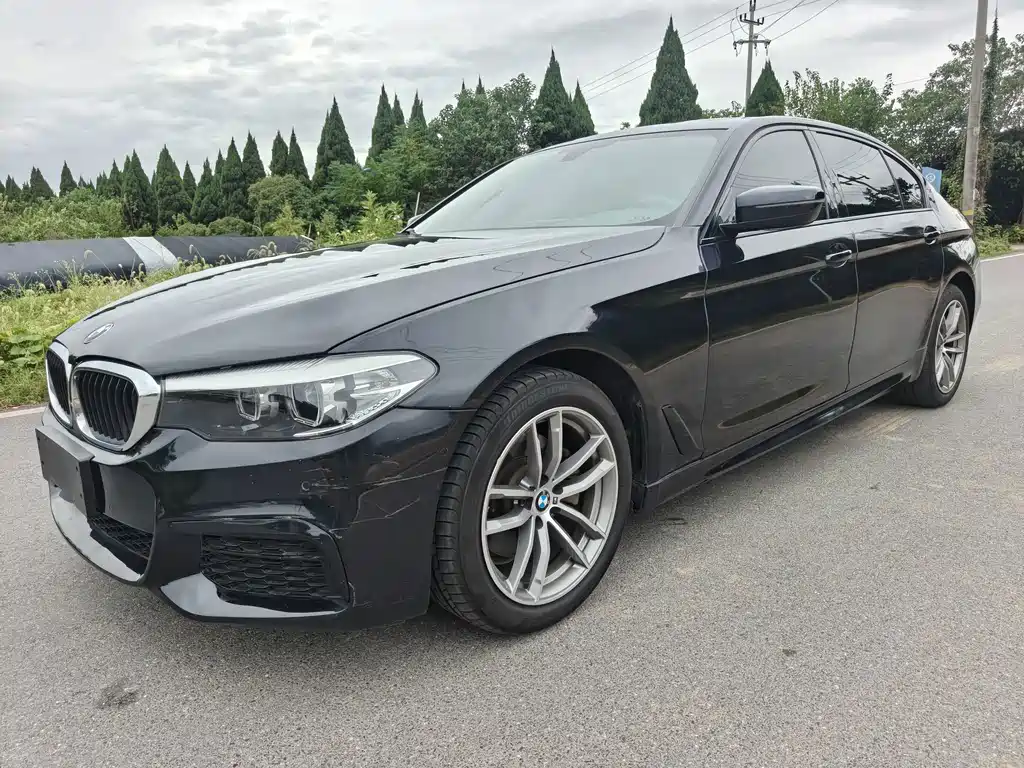 BMW 5 Series — миниатюра 2