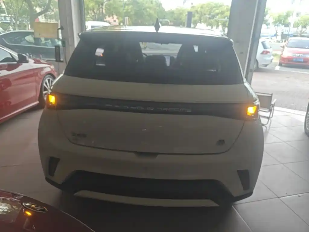 BYD Dolphin — миниатюра 6