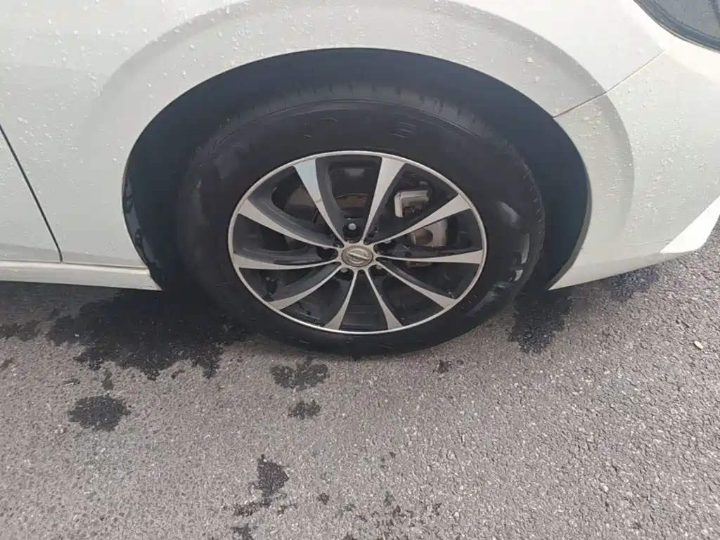 Nissan Sylphy — миниатюра 12