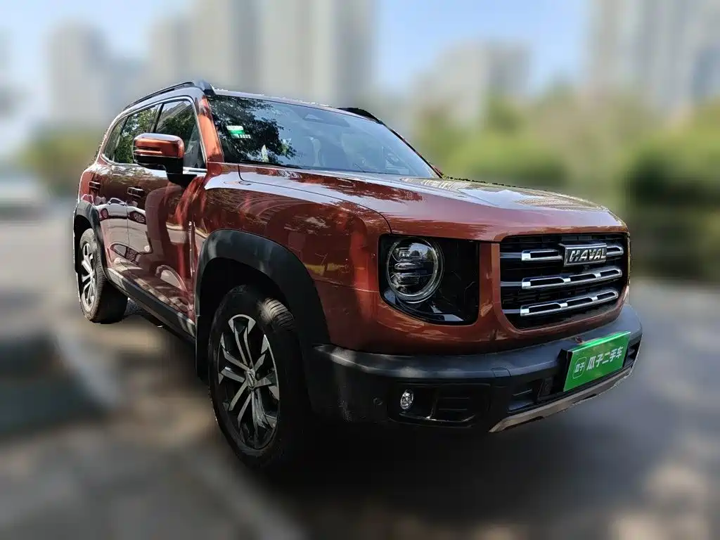 Haval 长城大狗 — миниатюра 24