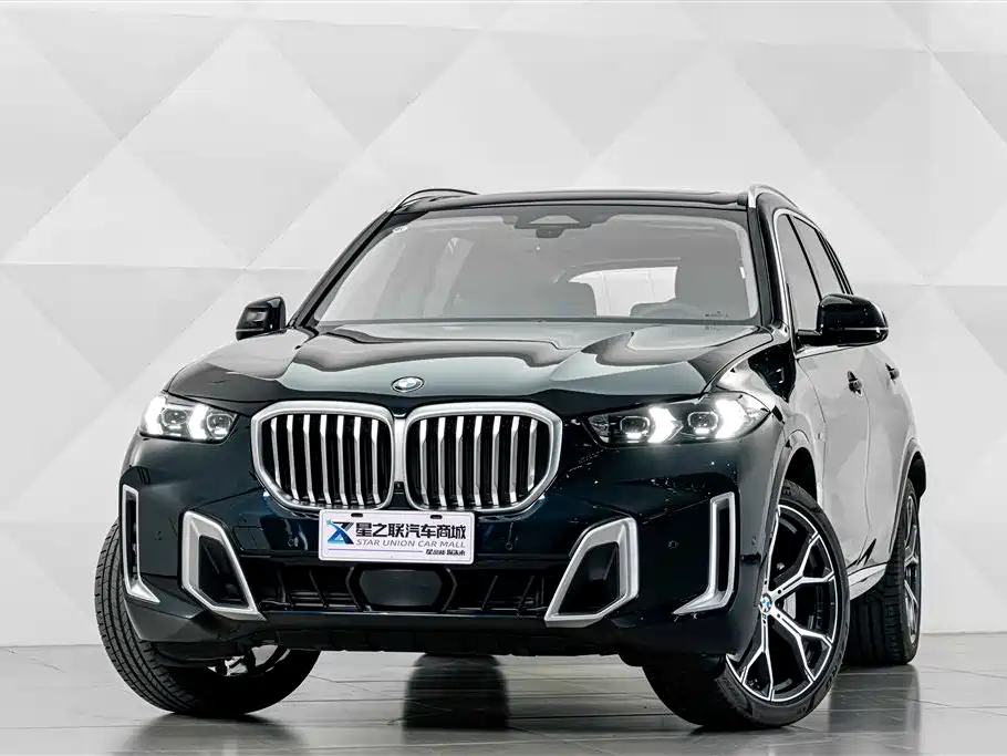 BMW X5 — миниатюра 2
