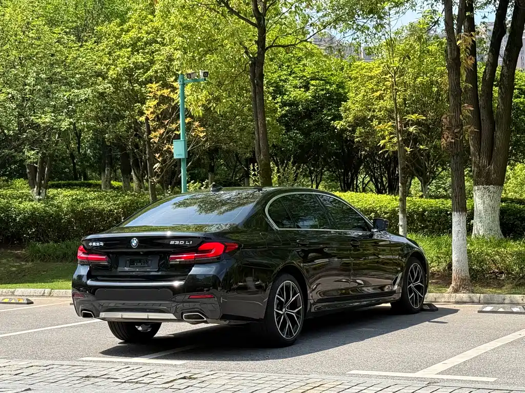 BMW 5 Series 5 2023 530Li Premium M Sport
