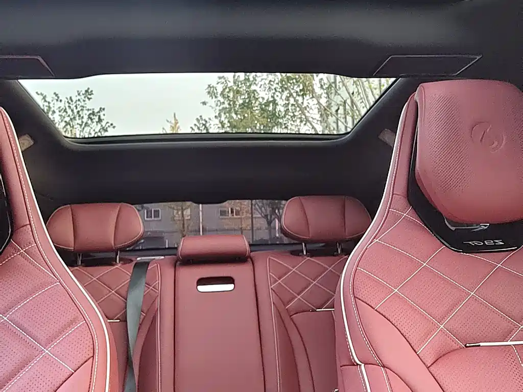 Denza Denza Z9GT — миниатюра 12