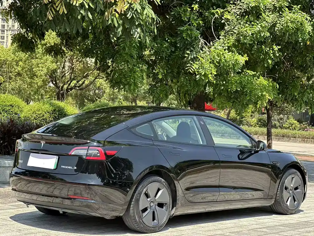 Tesla Model 3 — миниатюра 9