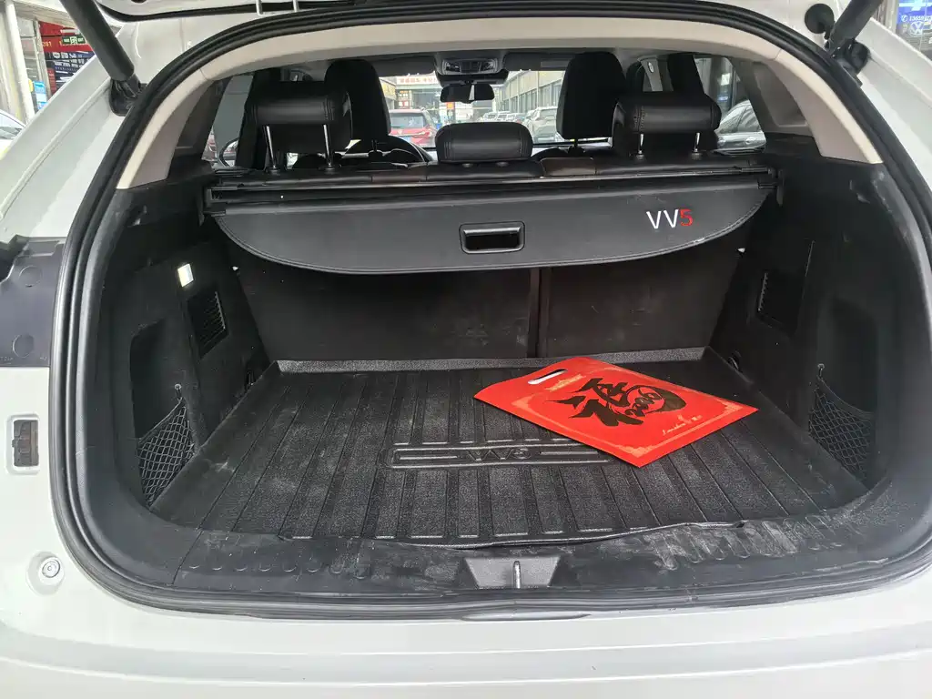 WEI PAI WEI BRAND VV5