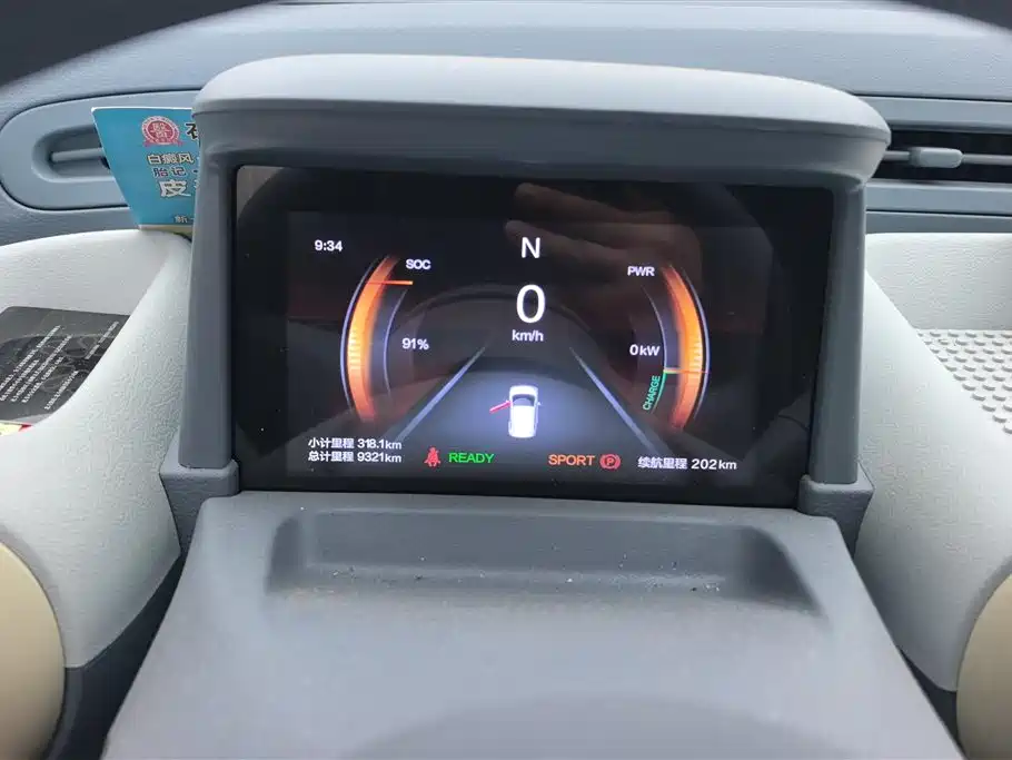 BESTUNE PENTIUM PONY