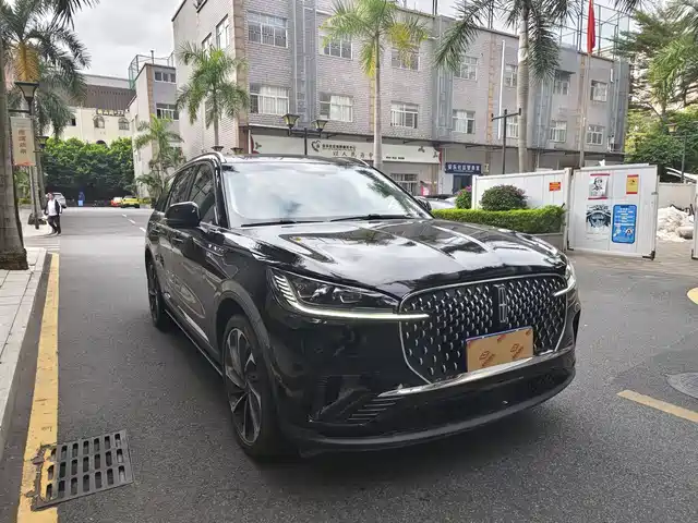 LINCOLN FLYING HOME 2024