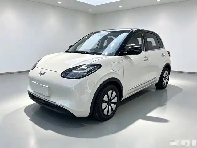 2025 Wuling Motors Binguo
