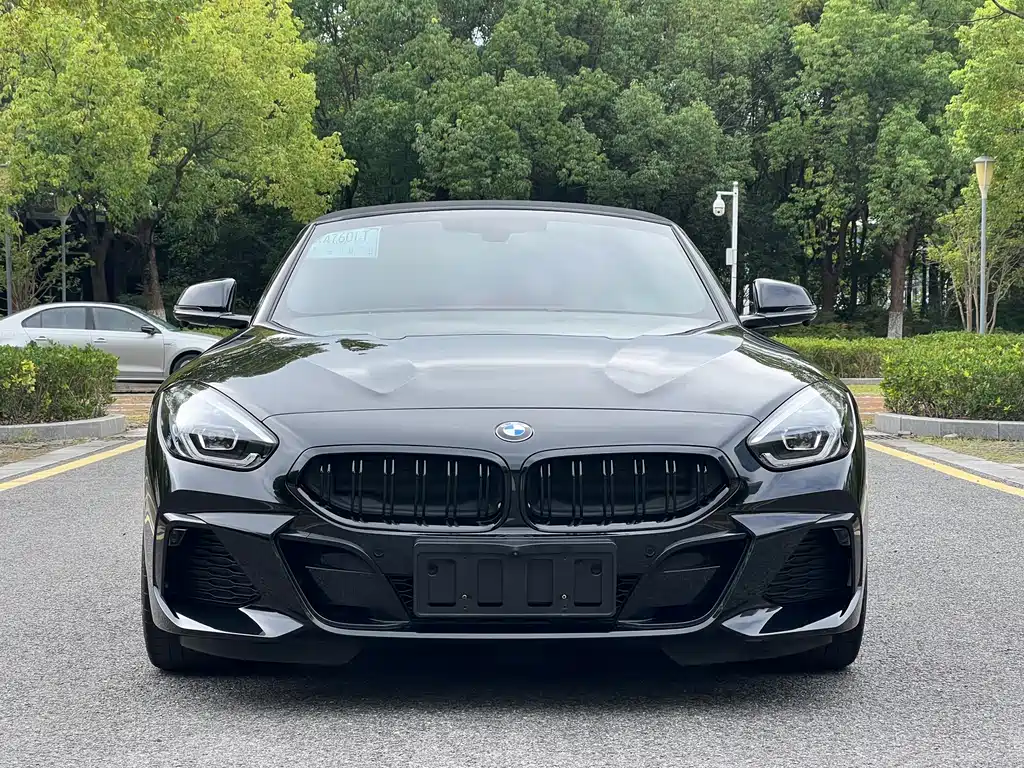 BMW Z4 — миниатюра 2