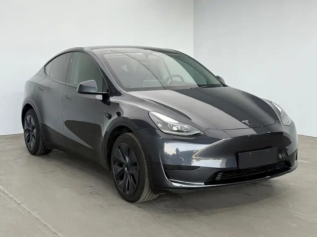 Tesla Model Y — миниатюра 3