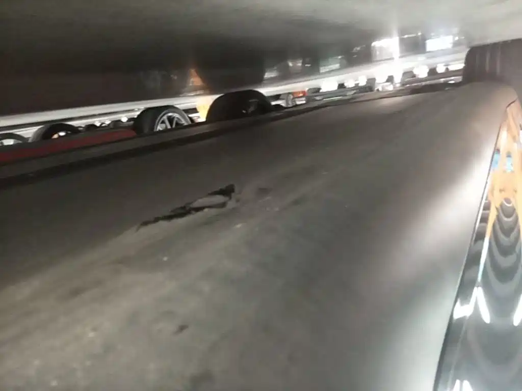 Tesla Model Y — миниатюра 22