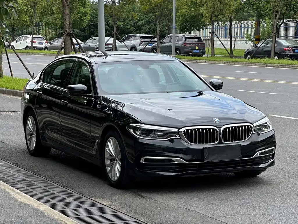 BMW 5 Series — миниатюра 5