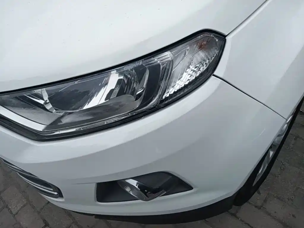Ford Ecosport — миниатюра 24