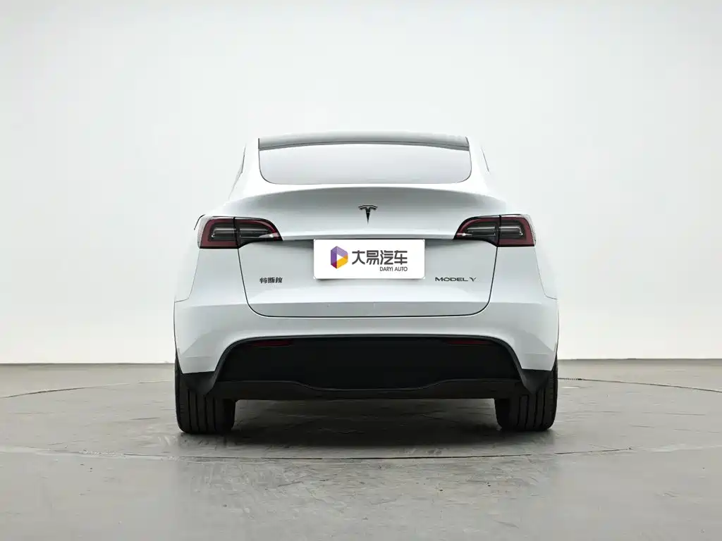 Tesla Model Y — миниатюра 4