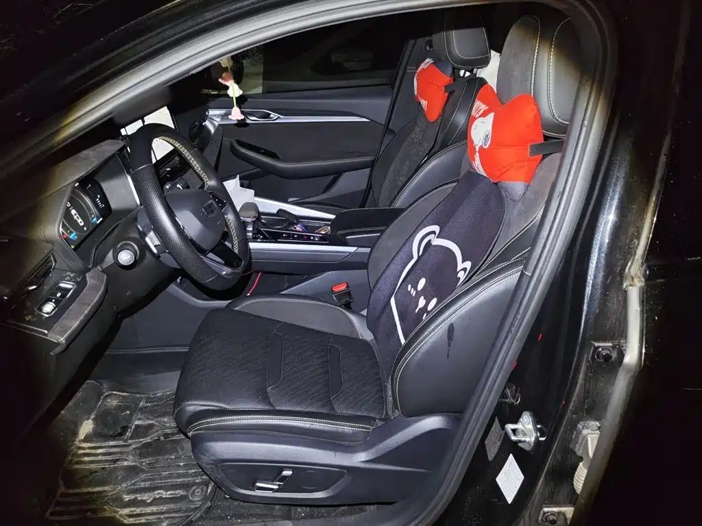 Geely Xingrui — миниатюра 11