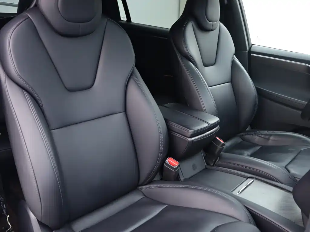 Tesla Model X — миниатюра 10