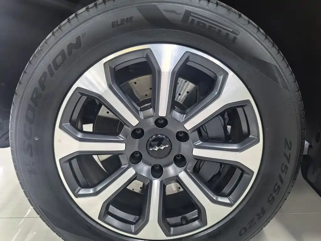 FANG CHENG BAO LEOPARD 5