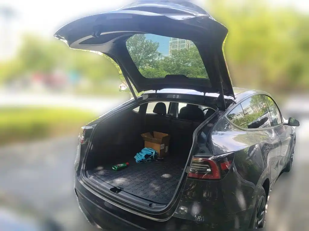Tesla Model Y — миниатюра 20