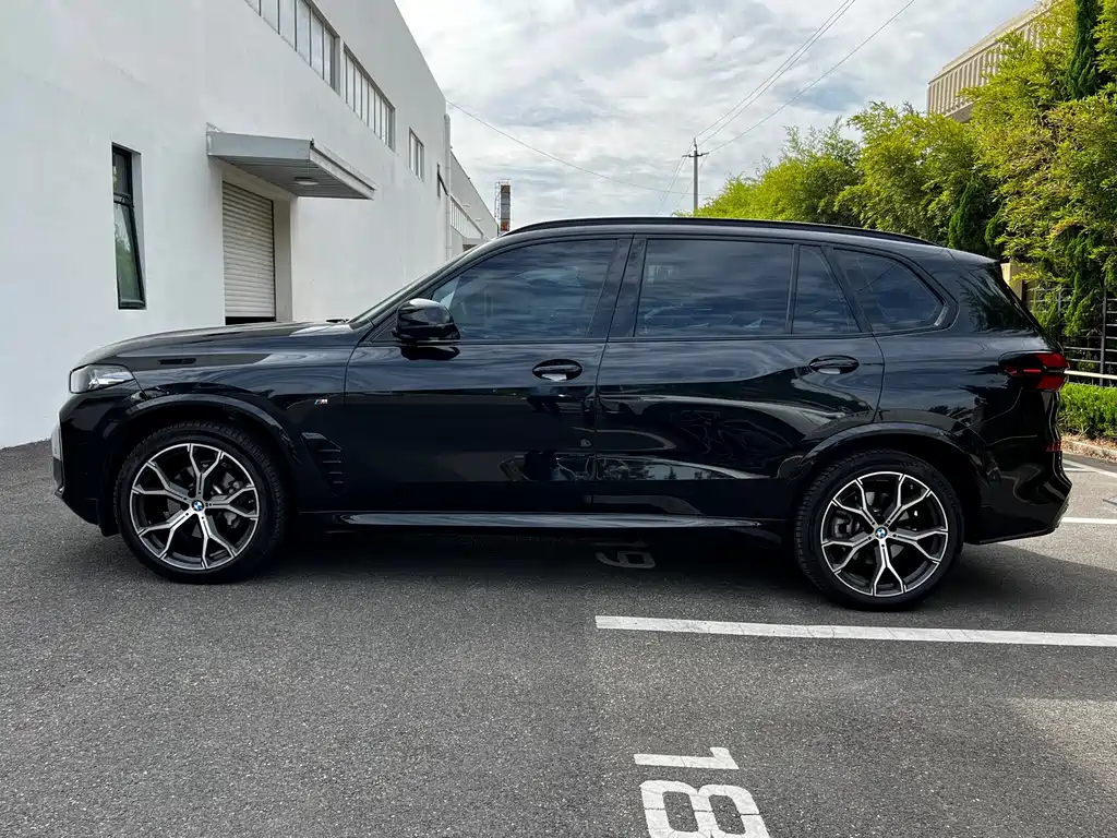 BMW X5 — миниатюра 2
