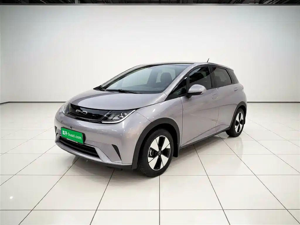 Byd Dolphin 2024