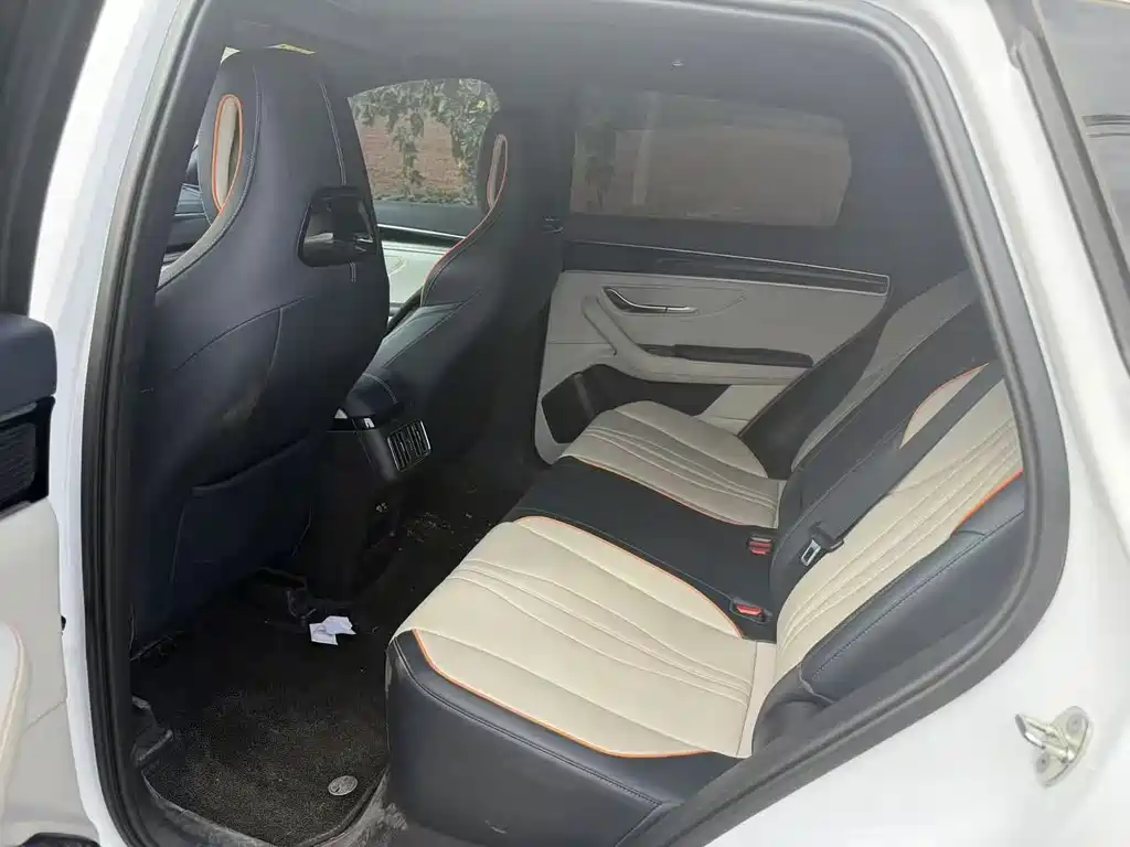 BYD PLUS New Energy — миниатюра 4