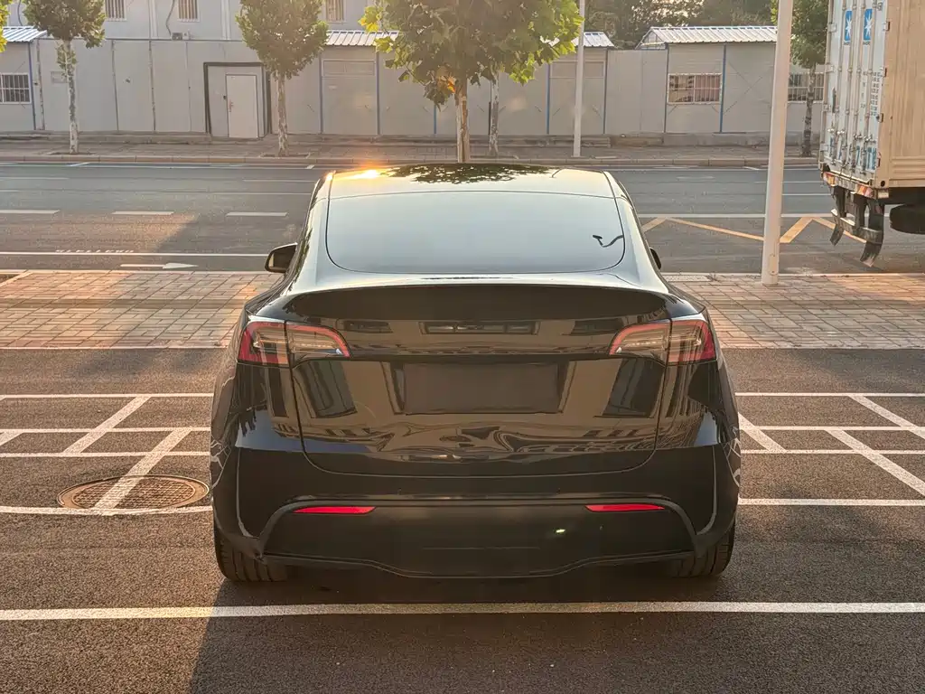 Tesla Model Y — миниатюра 21