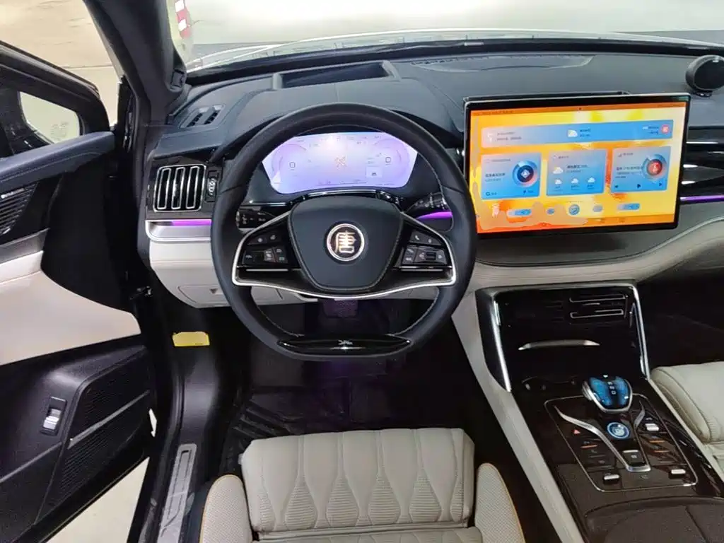 BYD Tang New Energy — миниатюра 11