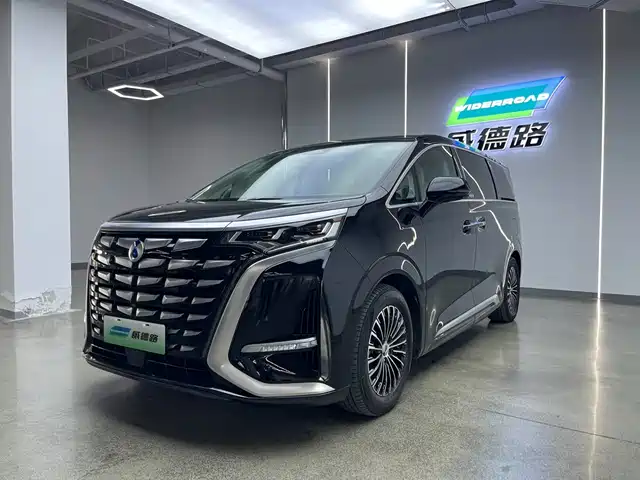 2023 Denza D9