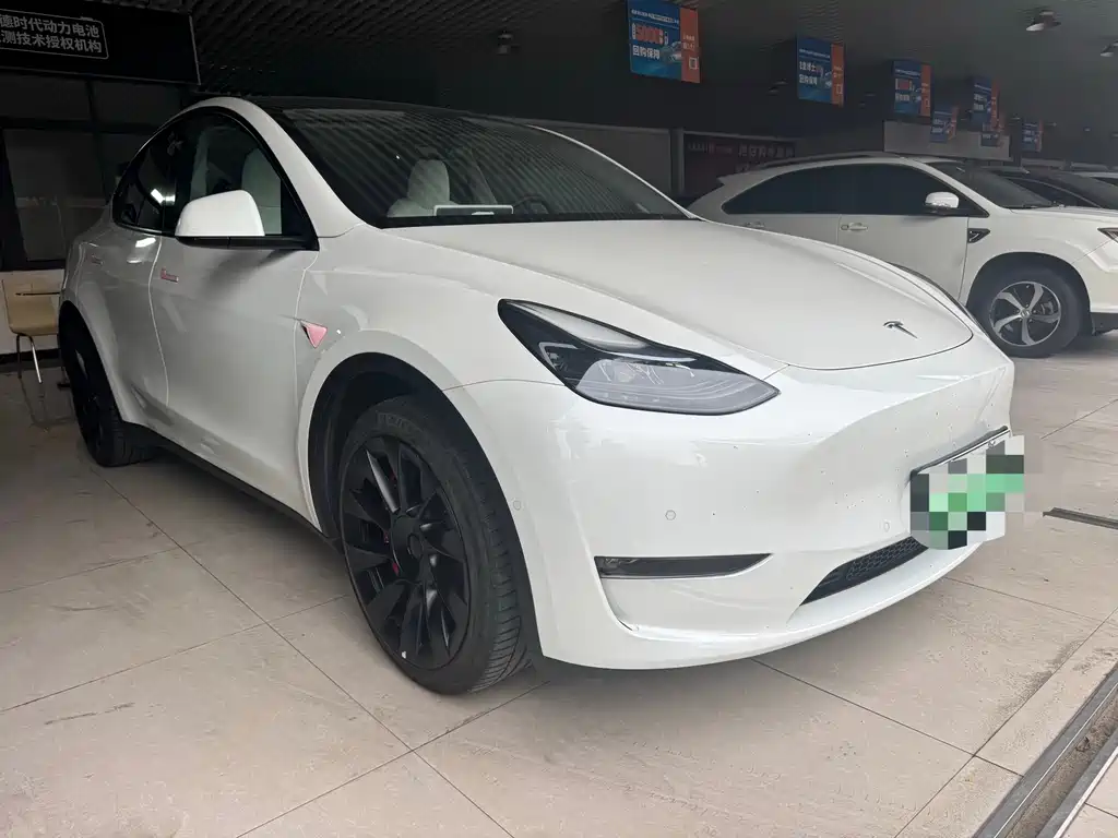 Tesla Model Y — миниатюра 3