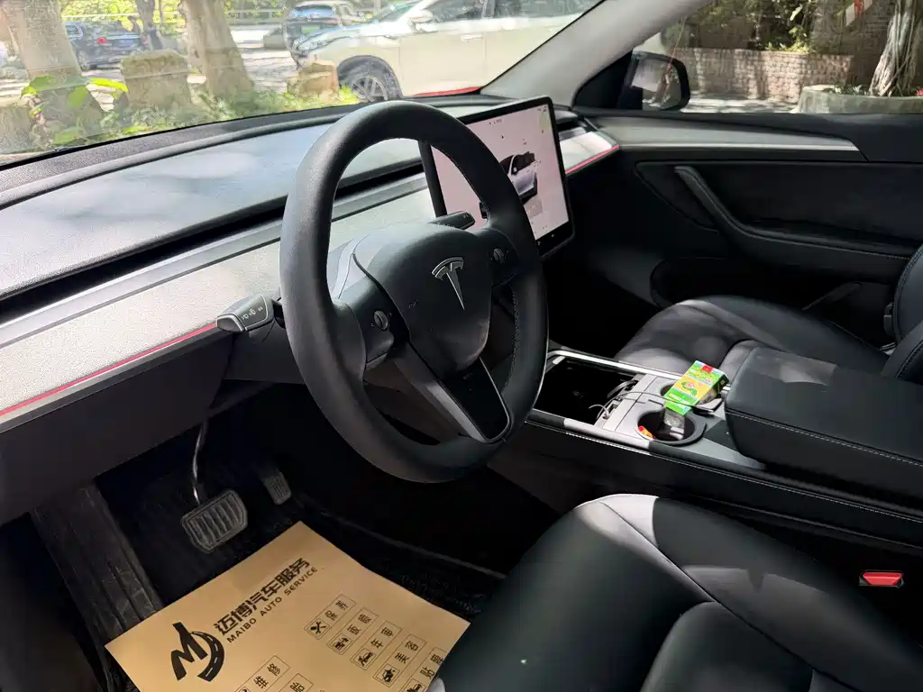 Tesla Model Y — миниатюра 12