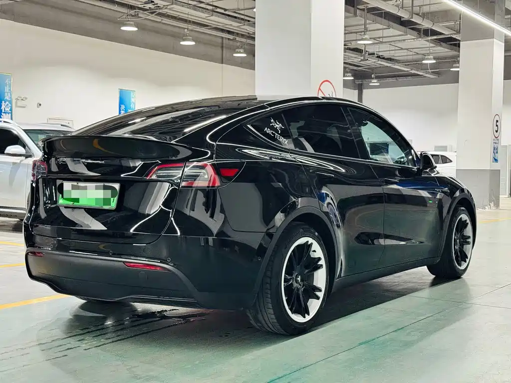 Tesla Model Y — миниатюра 6