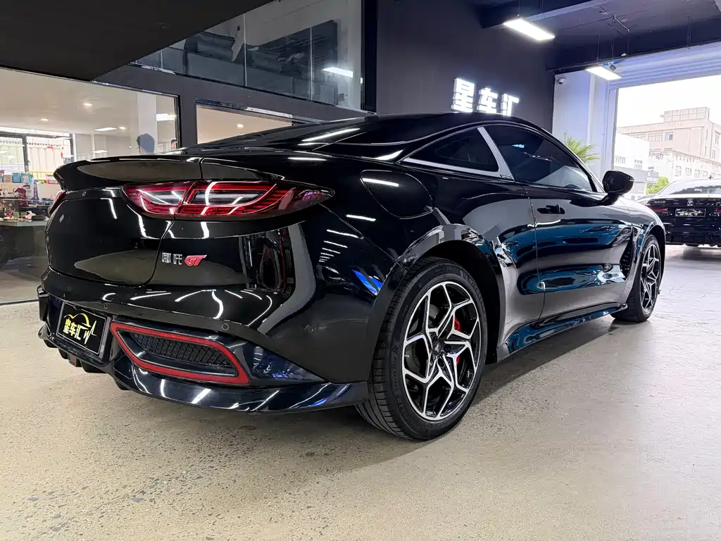 Neta Neta GT — миниатюра 13