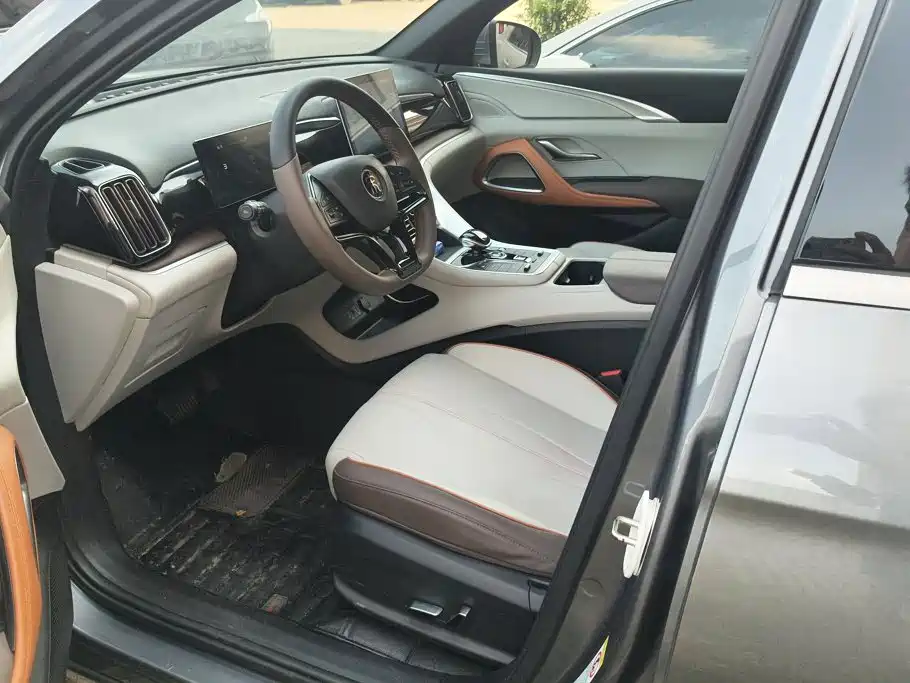 BYD Pro New Energy — миниатюра 9