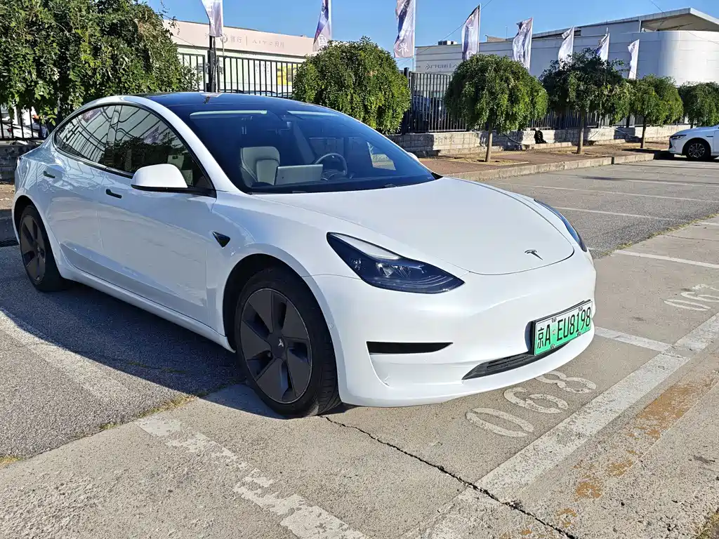 Tesla Model 3 — миниатюра 3