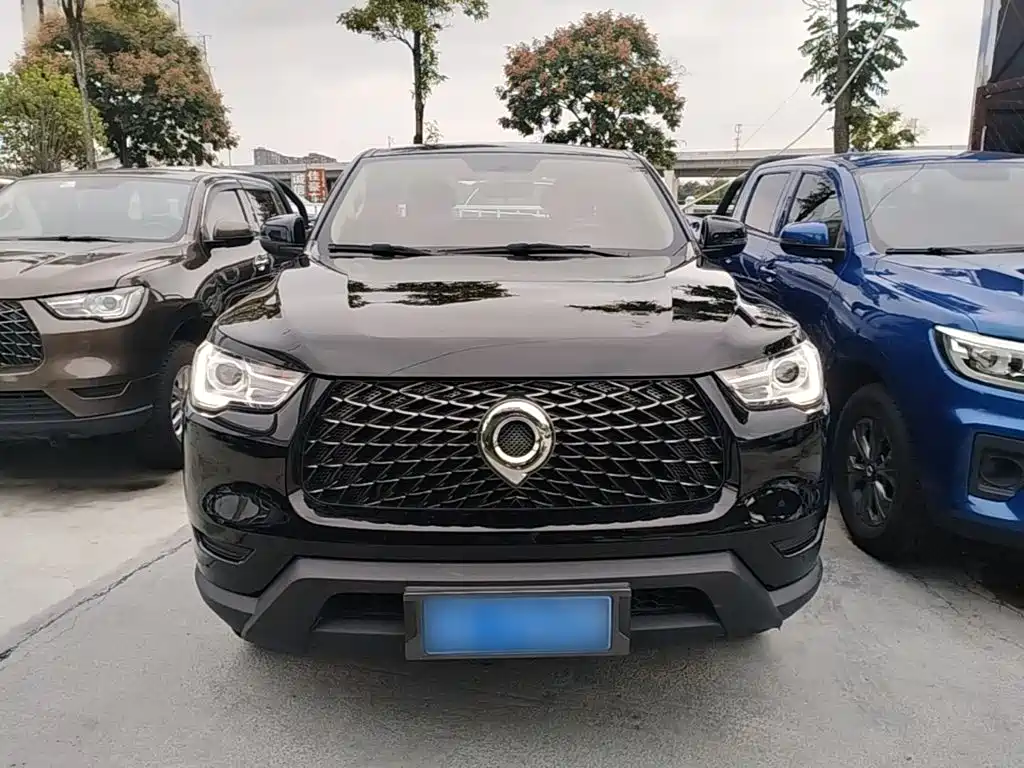Great Wall Pao — миниатюра 3