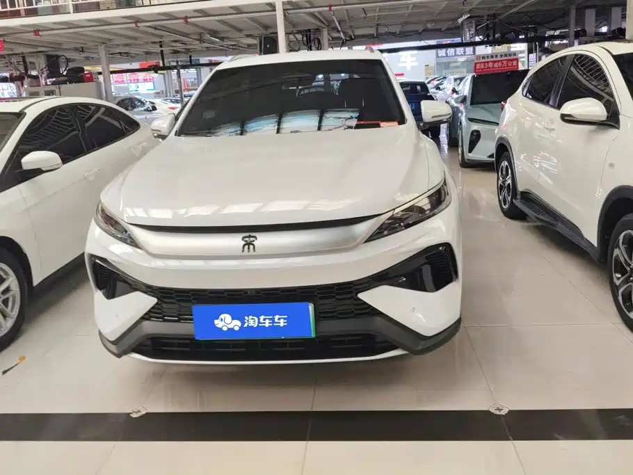 BYD Pro New Energy — миниатюра 2