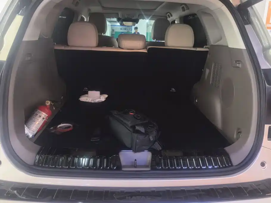 Haval Big Dog PLUS — миниатюра 4