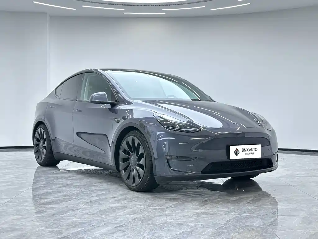 Tesla Model Y 2022 Performance