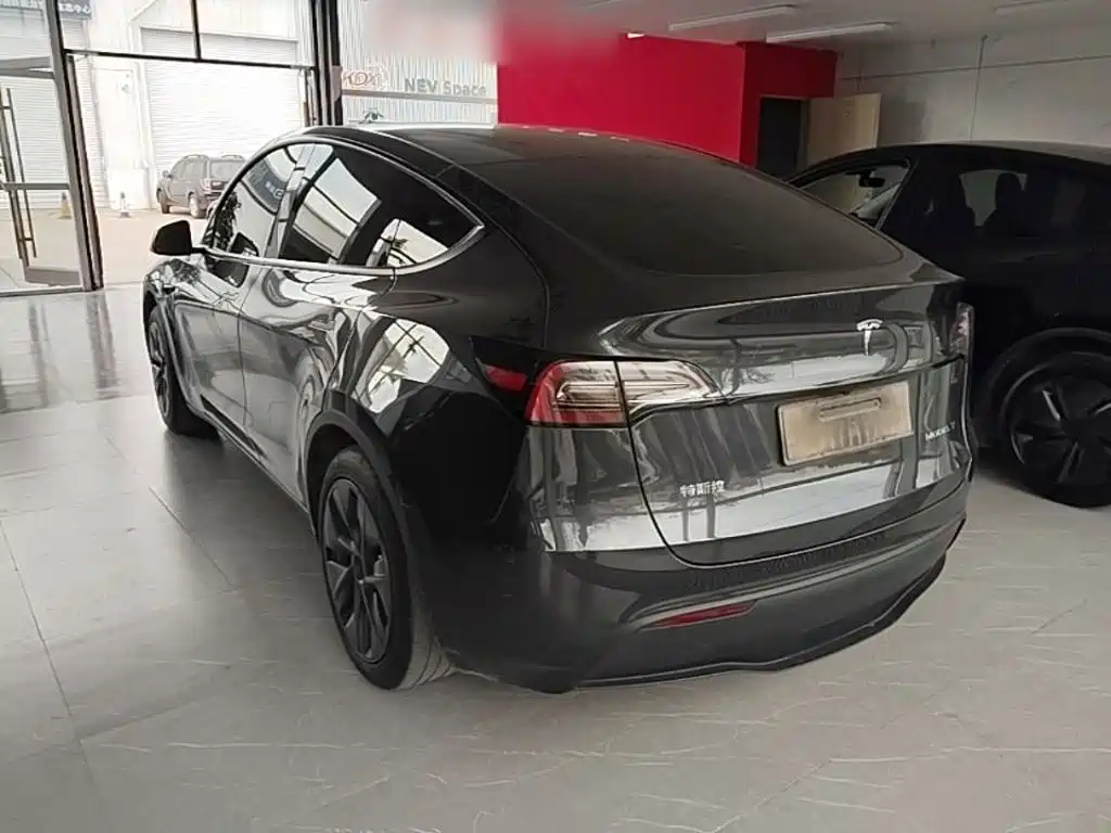 Tesla Model Y — миниатюра 5
