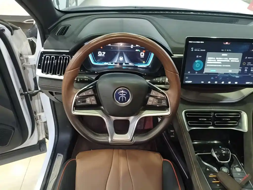 BYD PLUS — миниатюра 11