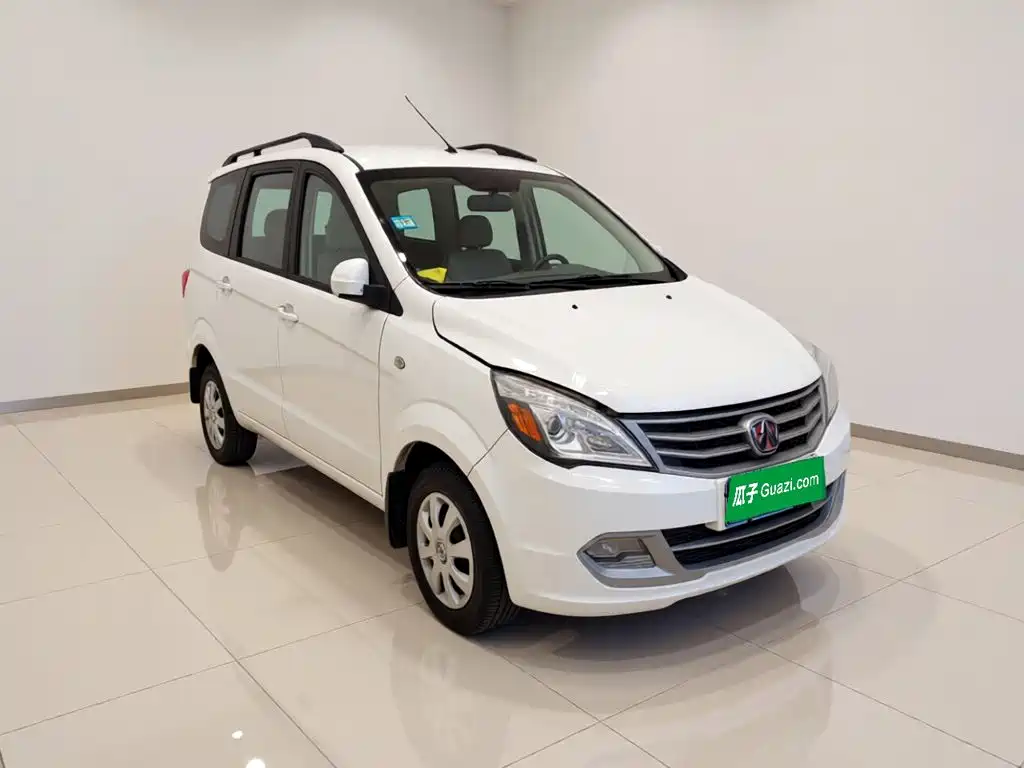BAW Weiwang M20 — миниатюра 3