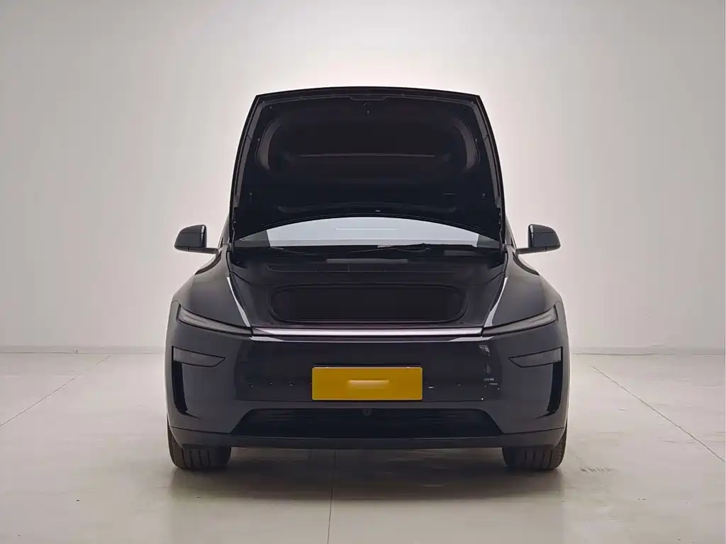 Tesla Model Y — миниатюра 12